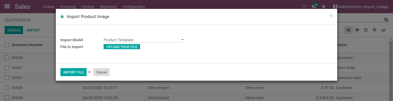 something wrong with module.template.image record